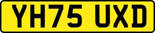YH75UXD
