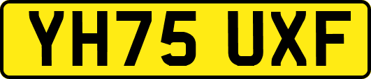 YH75UXF