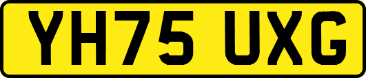 YH75UXG