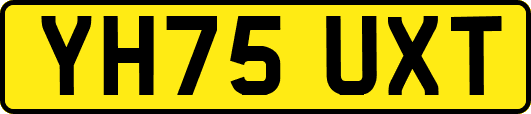 YH75UXT