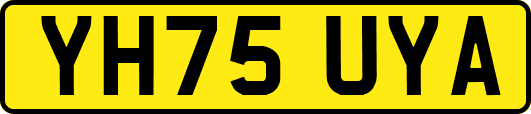 YH75UYA