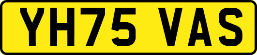 YH75VAS