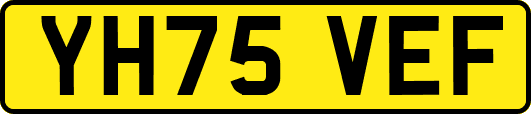 YH75VEF