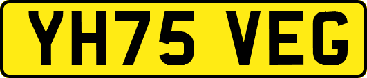 YH75VEG