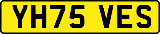 YH75VES