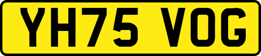 YH75VOG