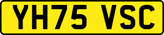 YH75VSC