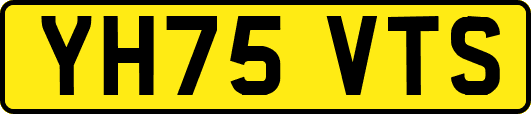 YH75VTS