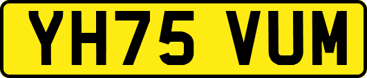 YH75VUM
