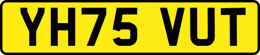 YH75VUT