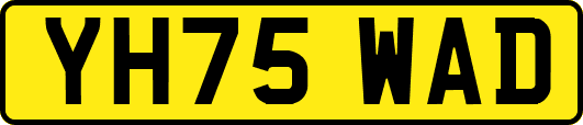 YH75WAD