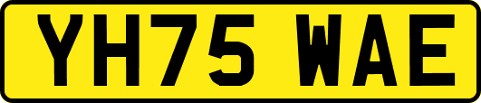 YH75WAE