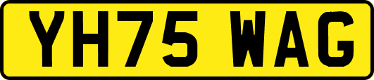 YH75WAG
