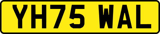 YH75WAL