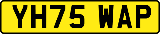 YH75WAP