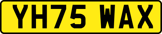 YH75WAX