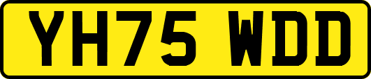 YH75WDD