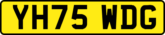 YH75WDG
