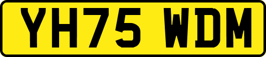 YH75WDM