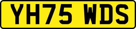 YH75WDS