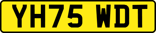 YH75WDT