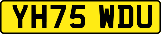 YH75WDU
