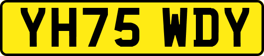 YH75WDY