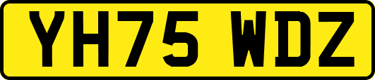 YH75WDZ