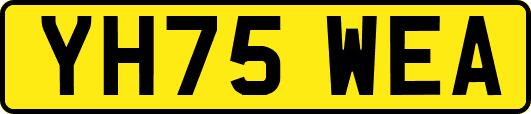 YH75WEA