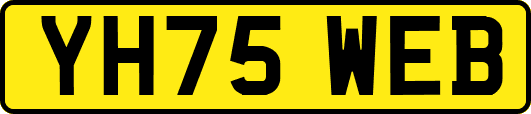 YH75WEB