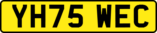YH75WEC
