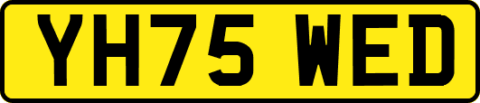 YH75WED