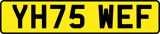 YH75WEF