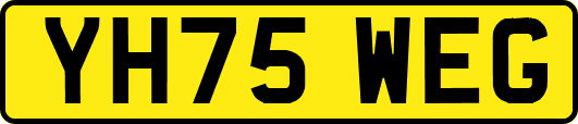 YH75WEG