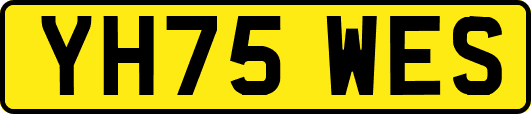 YH75WES