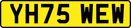 YH75WEW