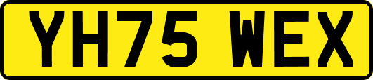 YH75WEX