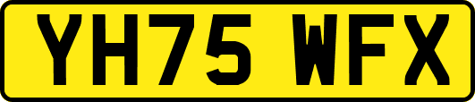 YH75WFX