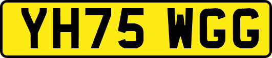 YH75WGG