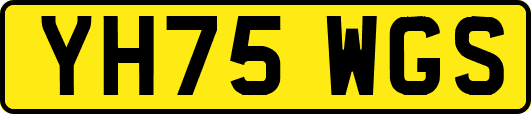 YH75WGS