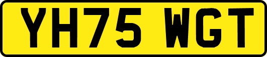 YH75WGT