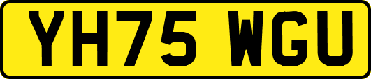 YH75WGU
