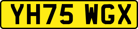 YH75WGX