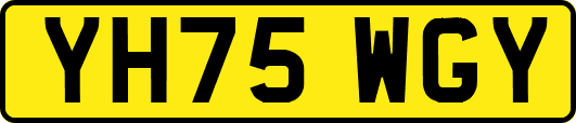 YH75WGY
