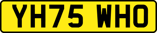 YH75WHO