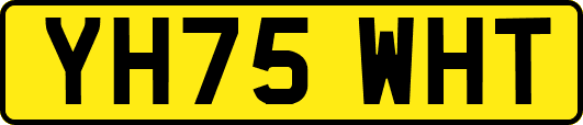 YH75WHT