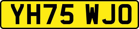 YH75WJO