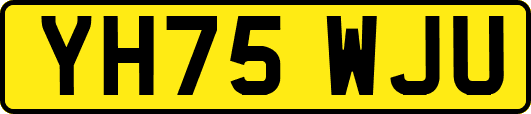 YH75WJU