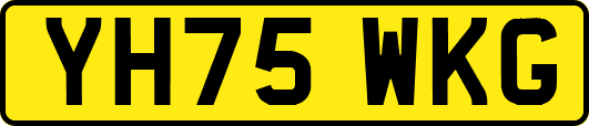 YH75WKG