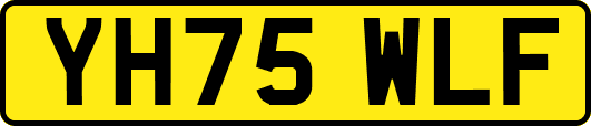 YH75WLF